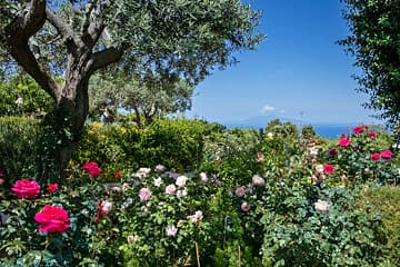 Il Giardino dell'Arte