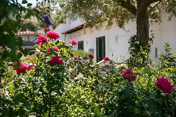 Il Giardino dell'Arte