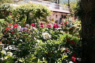 Il Giardino dell'arte