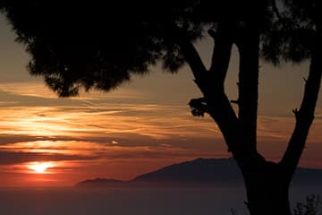 Il Giardino dell'arte